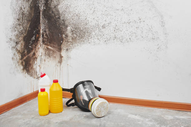 Best Residential Mold Removal  in Okauchee Lake, WI