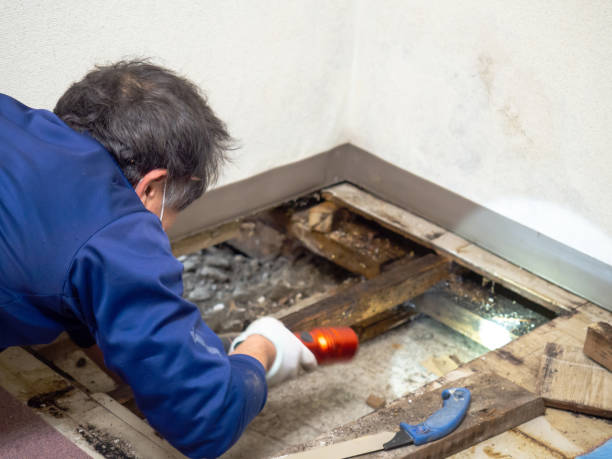 Mold Testing and Removal in Okauchee Lake, WI
