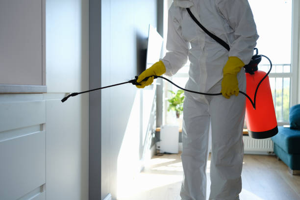 Best Office Mold Removal Services  in Okauchee Lake, WI