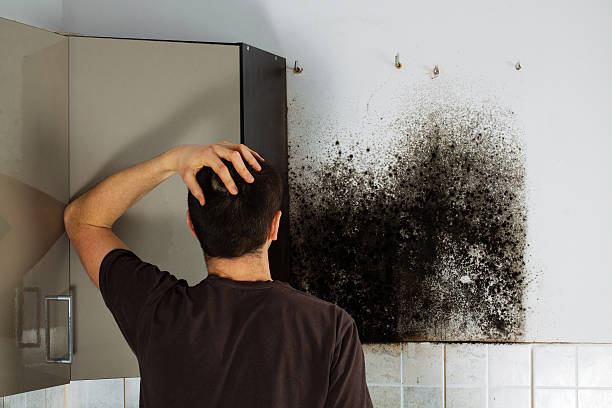 Best Mold Damage Repair  in Okauchee Lake, WI